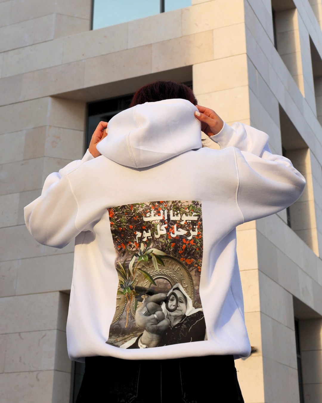 palestine aesthetic premium hoodie