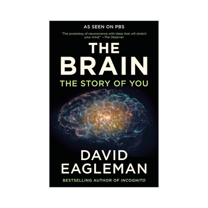 The Brain